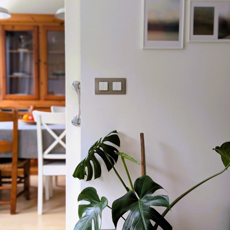Surf and Art apartment PARKING gratuito VUT2216AS - Apartamento de 2 dormitorios - 9