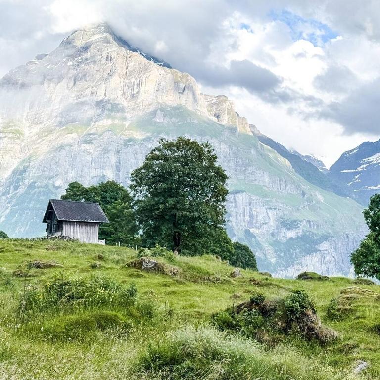 Wohnung Homely - Nähe Grindelwald Terminal - Apartment mit 1 Schlafzimmer - 17