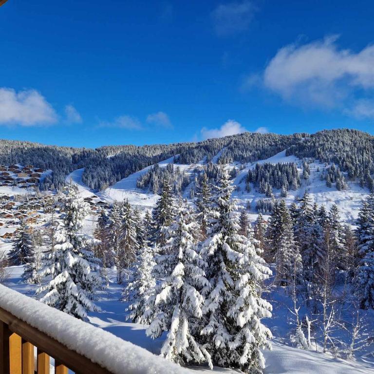 Appartement neuf 3 pièces, 6 pers, terrasse, parking, Les Saisies - FR-1-293-412 - Appartement - 16