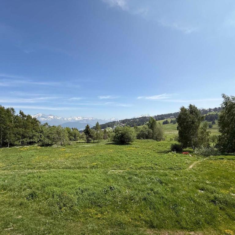 Studio cabine Les Saisies - 4 pers, vue pistes, balcon sud - FR-1-293-415 - Studio - 10