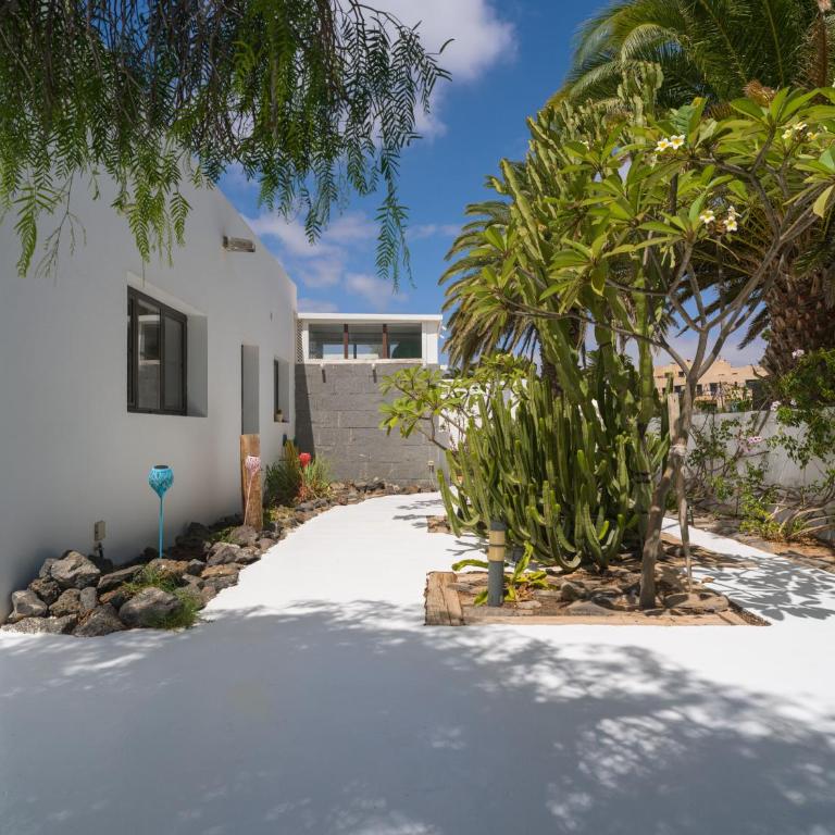 Villa Lola - VipVipVillas - Villa Superior - 11