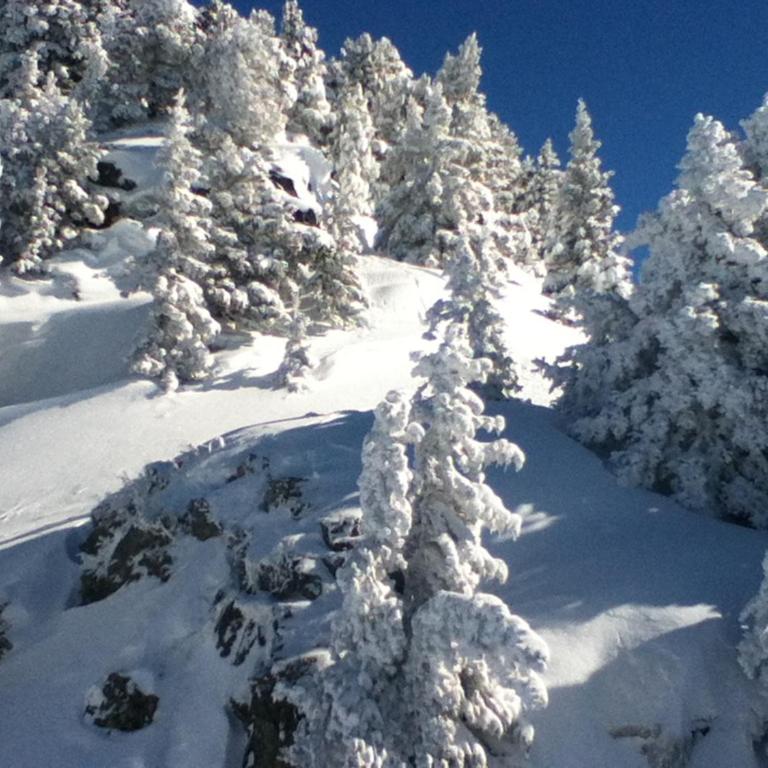 Studio lumineux rénové à Chamrousse, animaux admis - FR-1-340-154 - Studio - 12