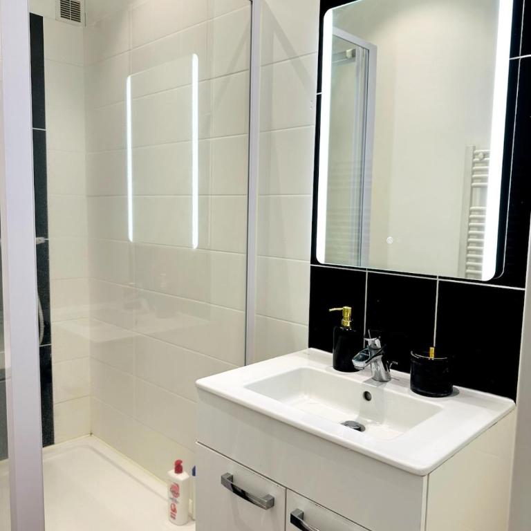La Marquise Rennes Gare - Apartment mit 1 Schlafzimmer - 3