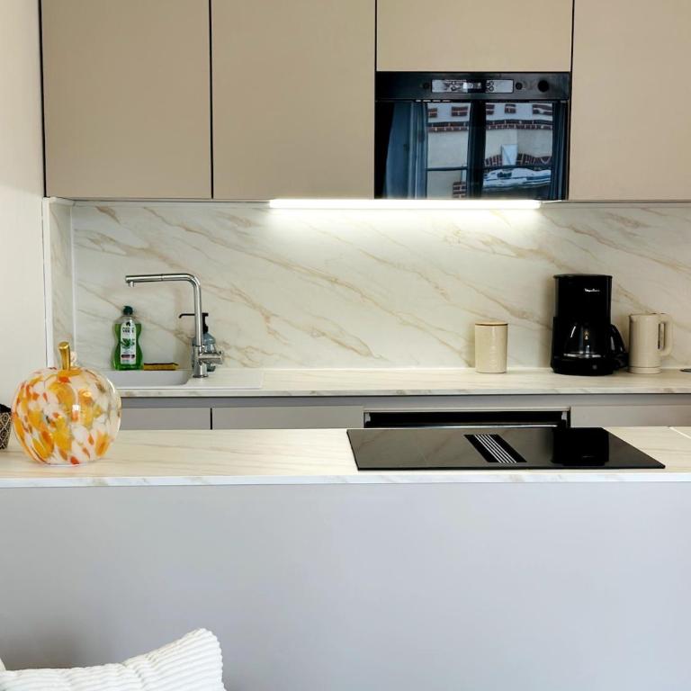 La Marquise Rennes Gare - Apartment mit 1 Schlafzimmer - 14