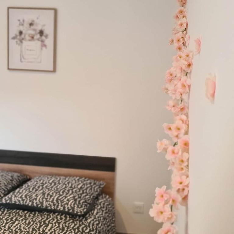 L'Oasis Fleurie - Appartement 1 Chambre - 7