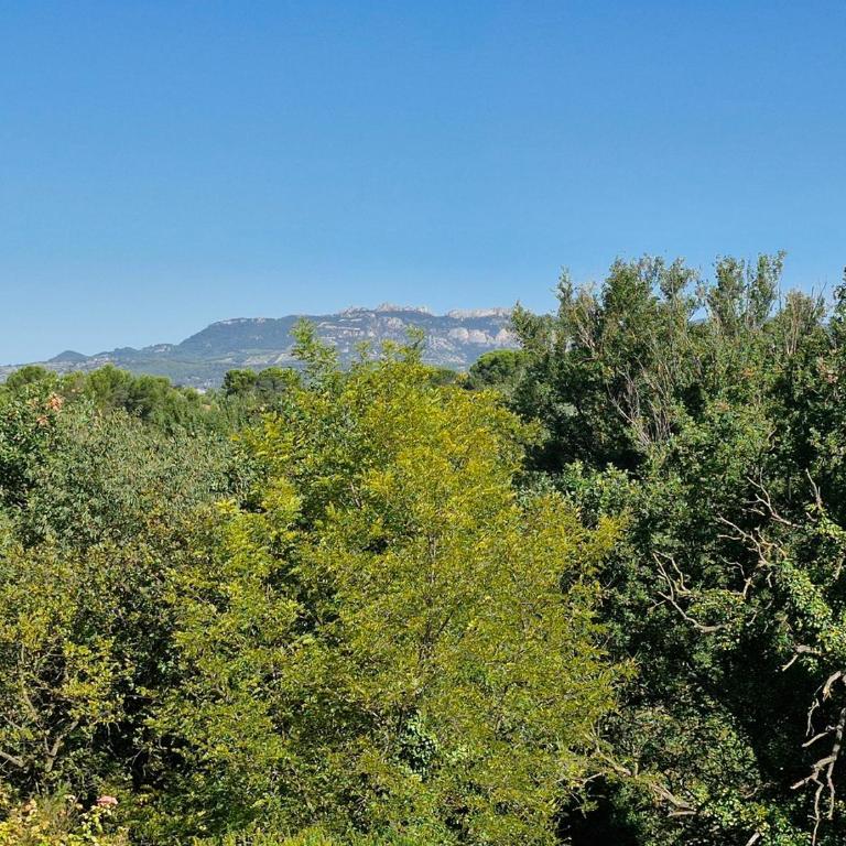 La Canopée en Provence - Piscine, Vue sur le Mont Ventoux ! - Villa 3 Chambres - 14