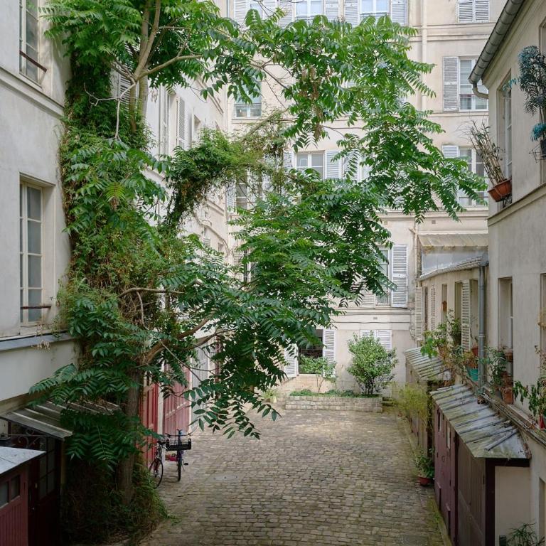 By Saint-Sulpice newly refurbished 4 BR apartment - Appartement - 9