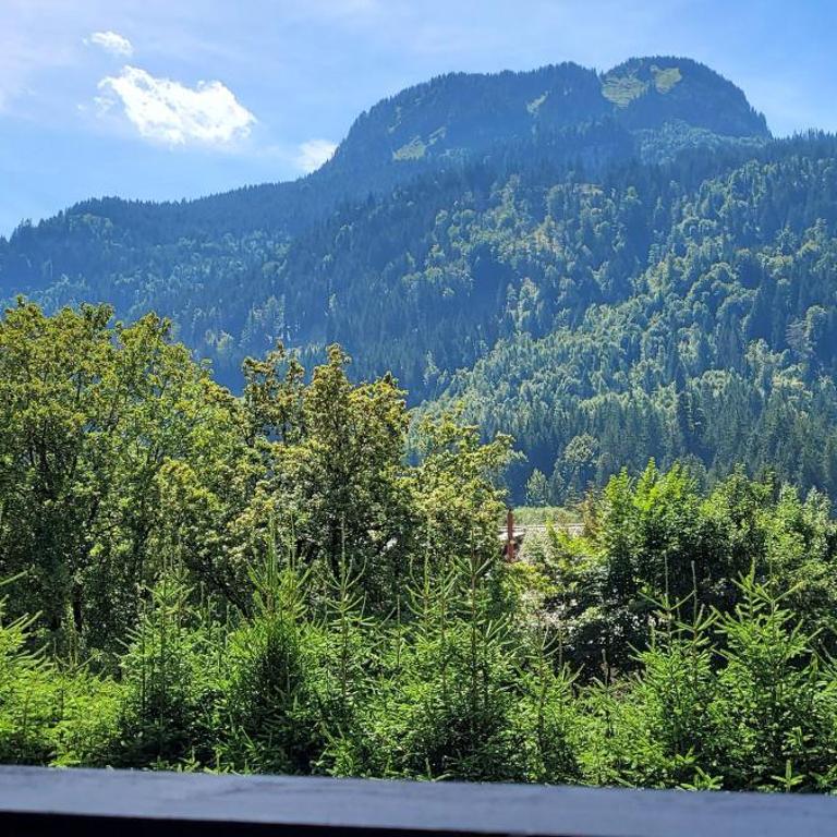Allgäu Alps - Apartment mit 1 Schlafzimmer und Dusche - 10