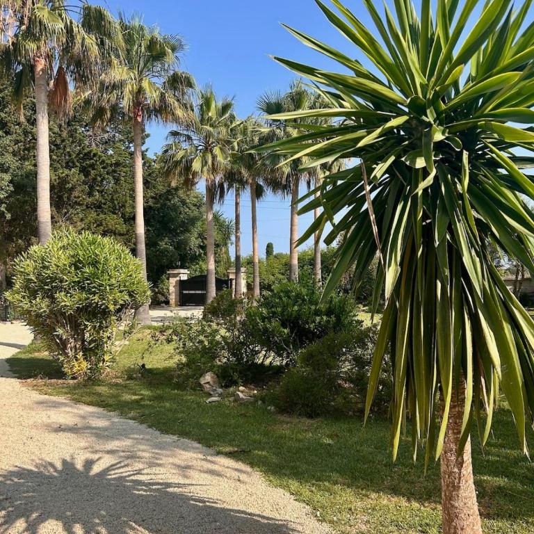 Villa Arcos de Lluna - Alcudia - Villa de 3 dormitorios - 14