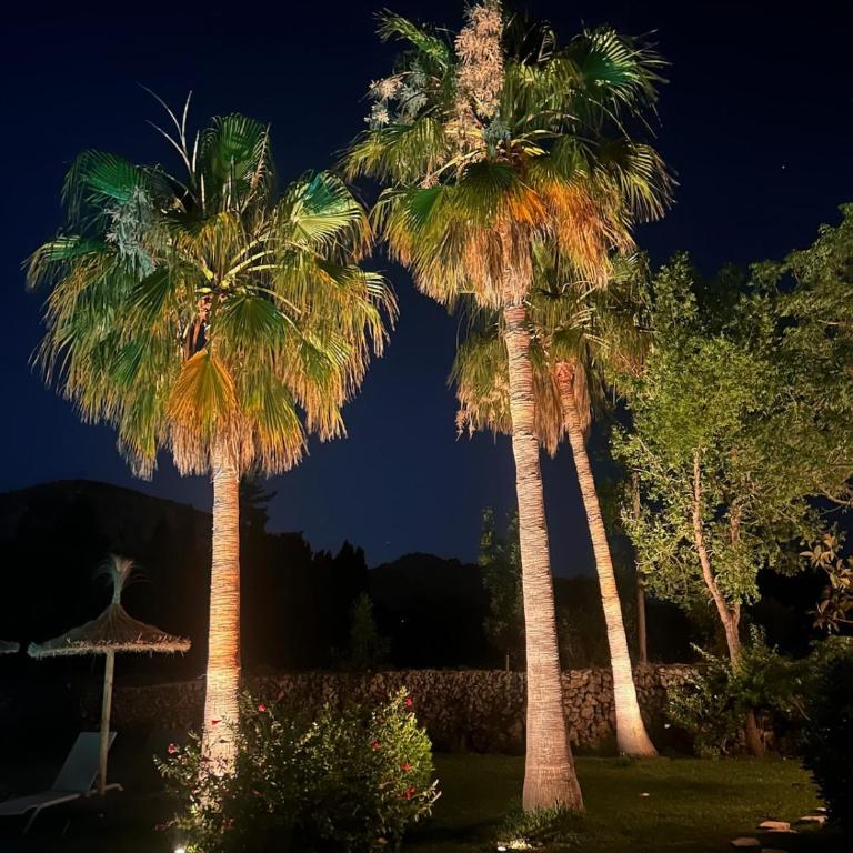 Villa Arcos de Lluna - Alcudia - Villa de 3 dormitorios - 18