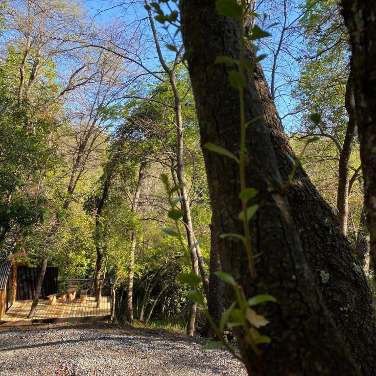 Tiny house Roble en Vilches alto - Chalet de 1 dormitorio - 5