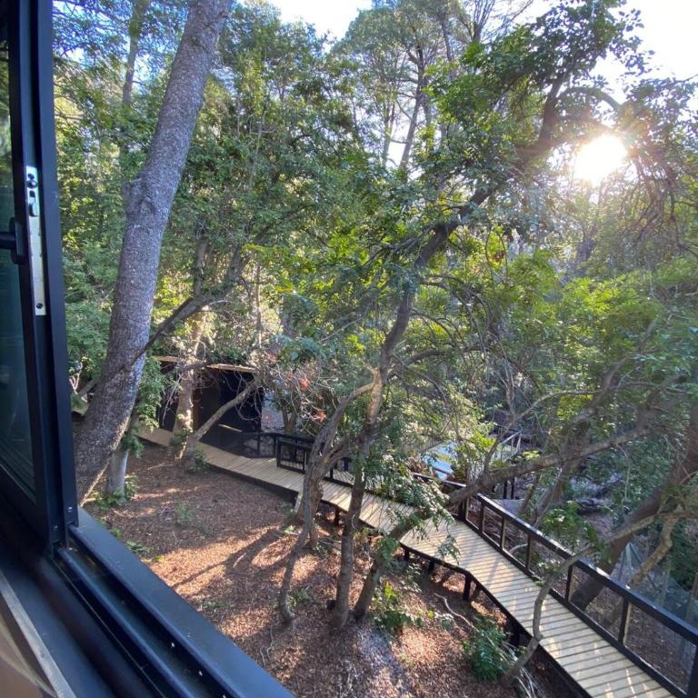 Tiny house Roble en Vilches alto - Chalet de 1 dormitorio - 7