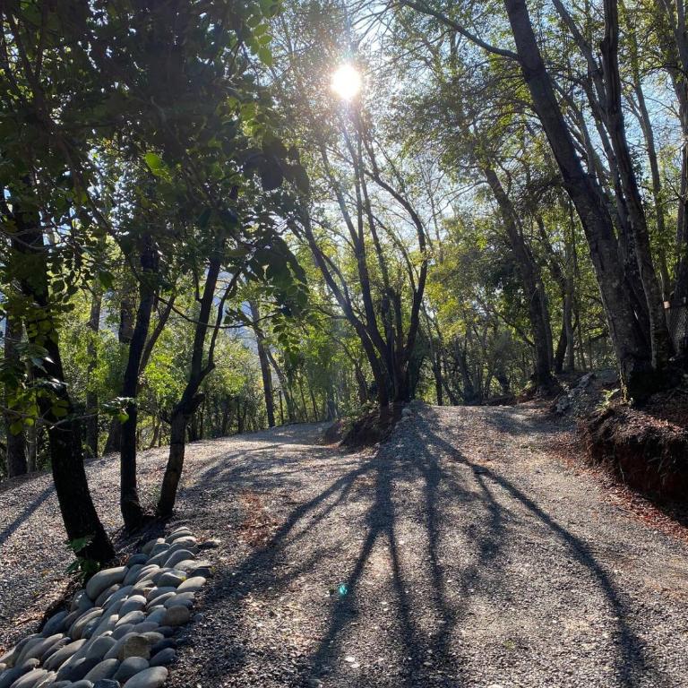 Tiny house Roble en Vilches alto - Chalet de 1 dormitorio - 10