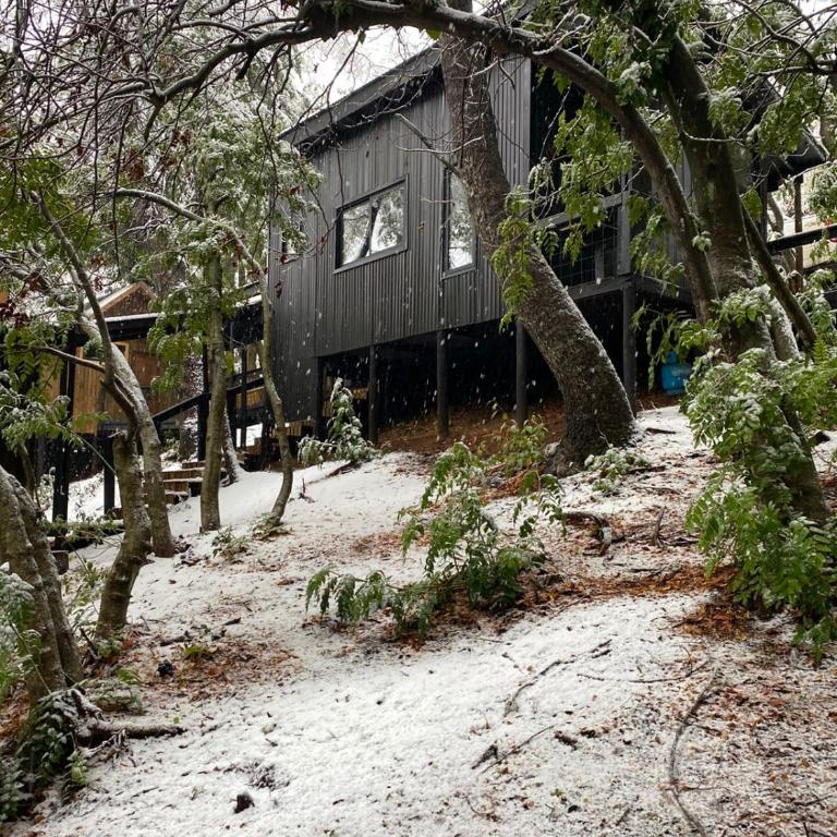 Tiny house Roble en Vilches alto - Chalet de 1 dormitorio - 11