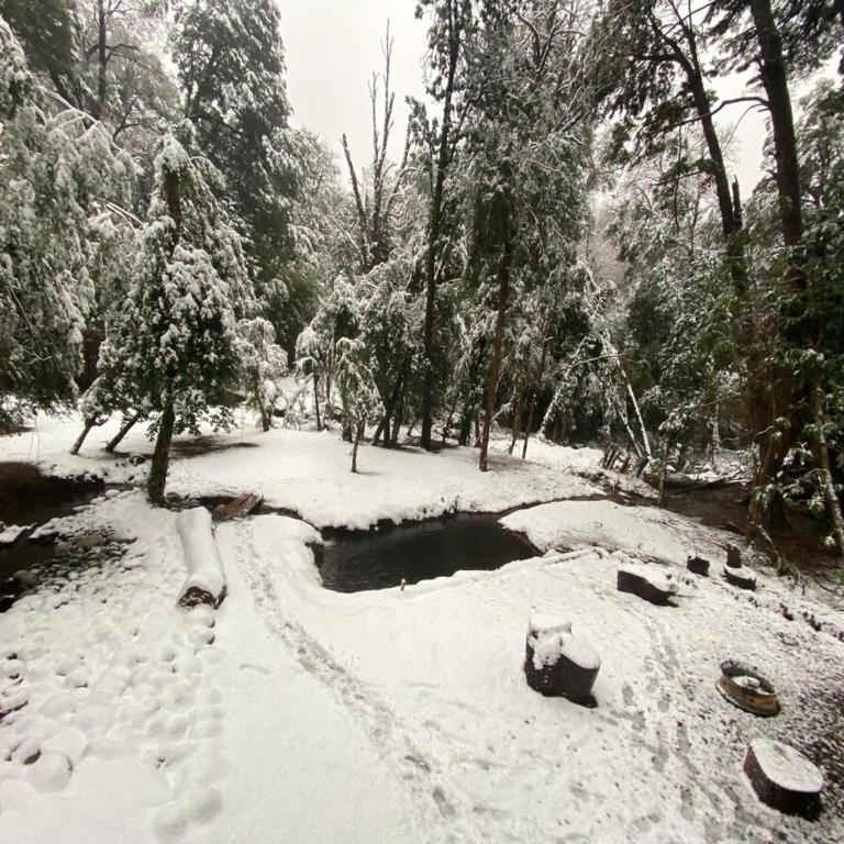 Tiny house Roble en Vilches alto - Chalet de 1 dormitorio - 13