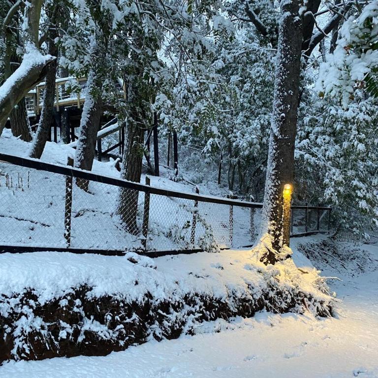 Tiny house Roble en Vilches alto - Chalet de 1 dormitorio - 14