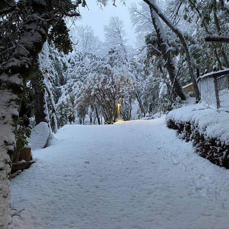 Tiny house Roble en Vilches alto - Chalet de 1 dormitorio - 24