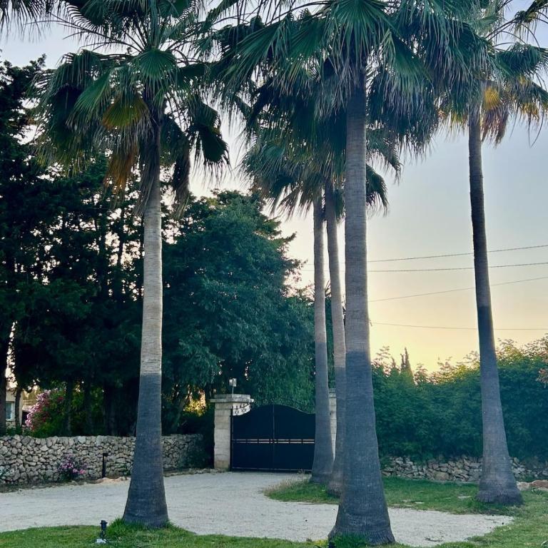 Villa Arcos de Lluna - Alcudia - Villa de 3 dormitorios - 49