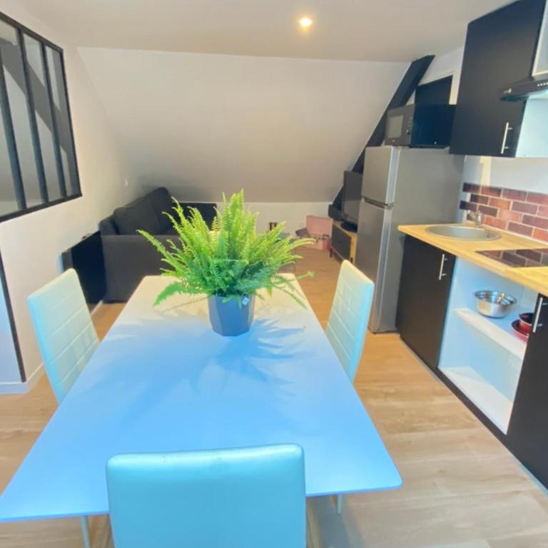 Appartement Atypique- Esprit Atelier Loft - parking privé - Wifi - vidéo - Appartement 1 Chambre - 38