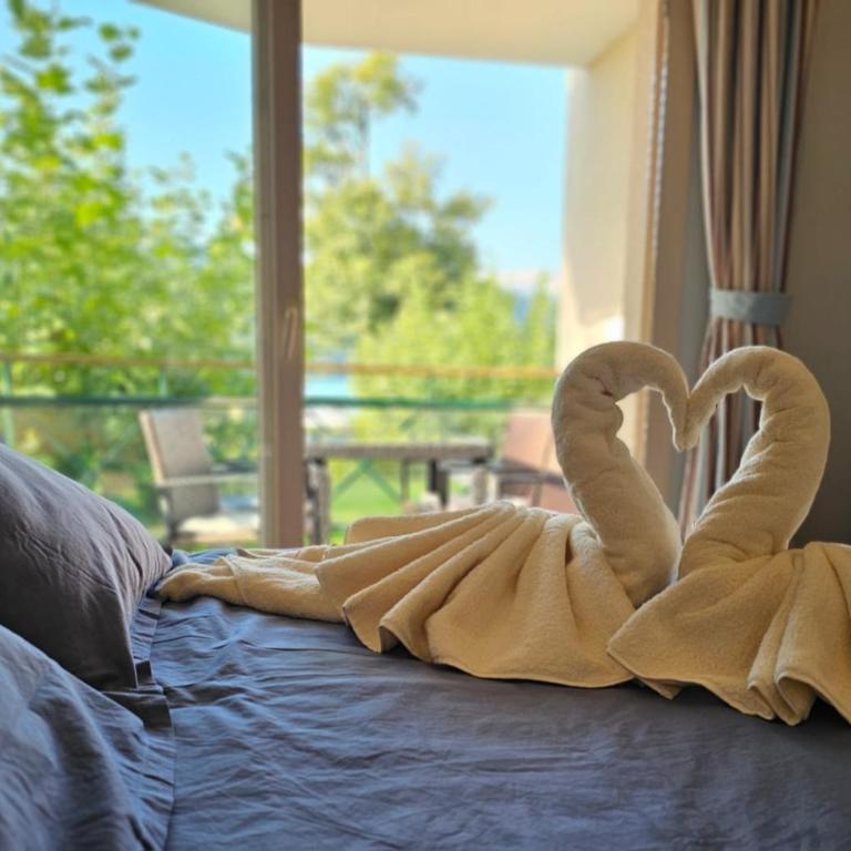 L'Appart du Lac, Plage Privée - Apartment mit 1 Schlafzimmer - 19