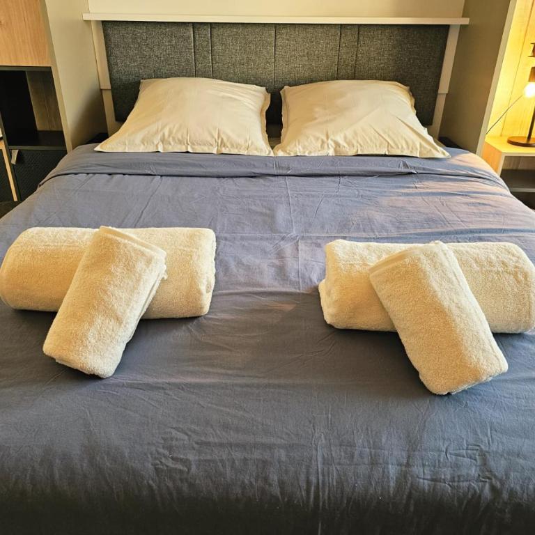 L'Appart du Lac, Plage Privée - Apartment mit 1 Schlafzimmer - 20