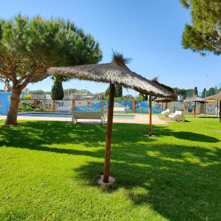Global Vacacional, apartamento de una habitación en urbanización con piscina - Apartamento de 1 dormitorio - 18