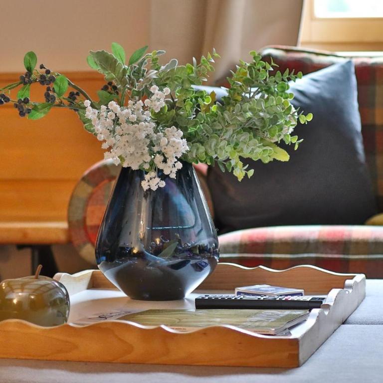 Appartements Cafe Schneider - Apartment mit 3 Schlafzimmern und Dusche - 46