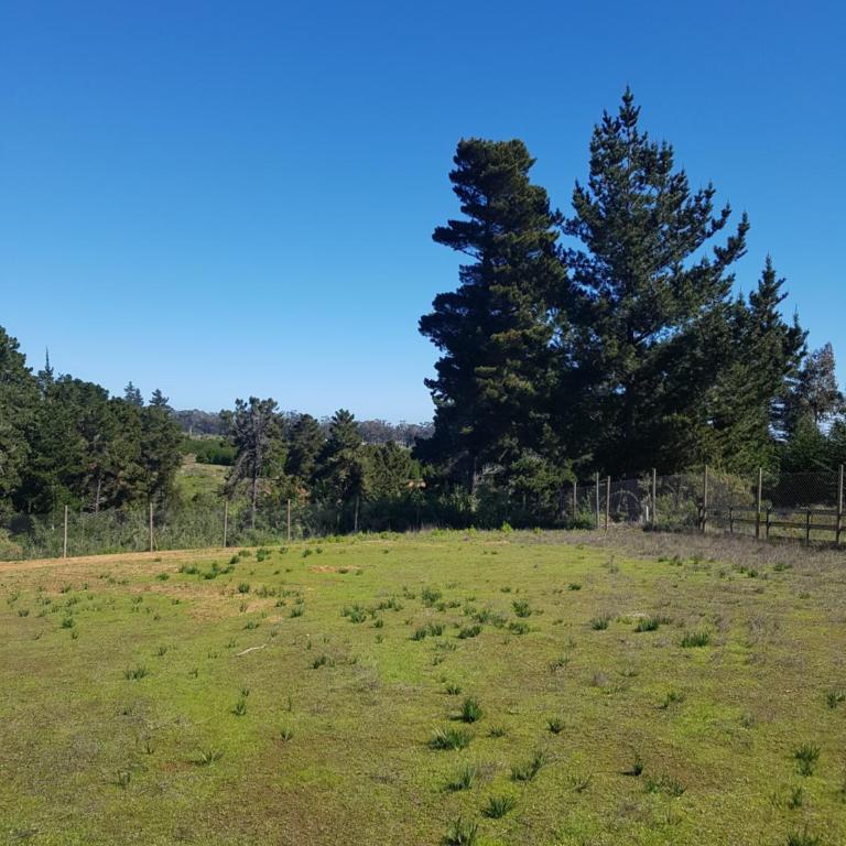 Cabañas House Candelaria con Hot Tub en Algarrobo - Two-Bedroom Apartment - 10