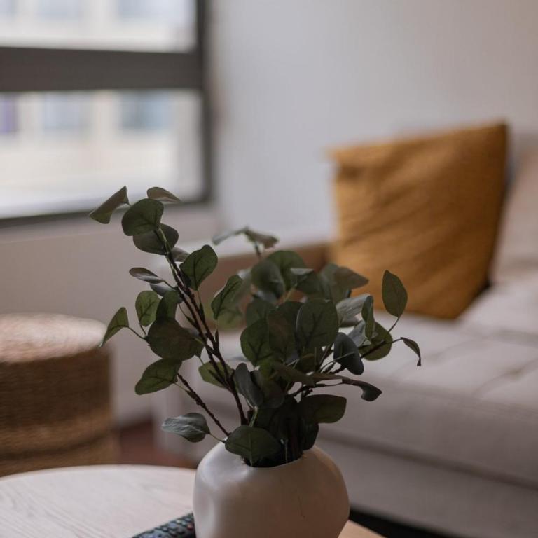 Your Serene Getaway in Central Providencia - Apartment - 18