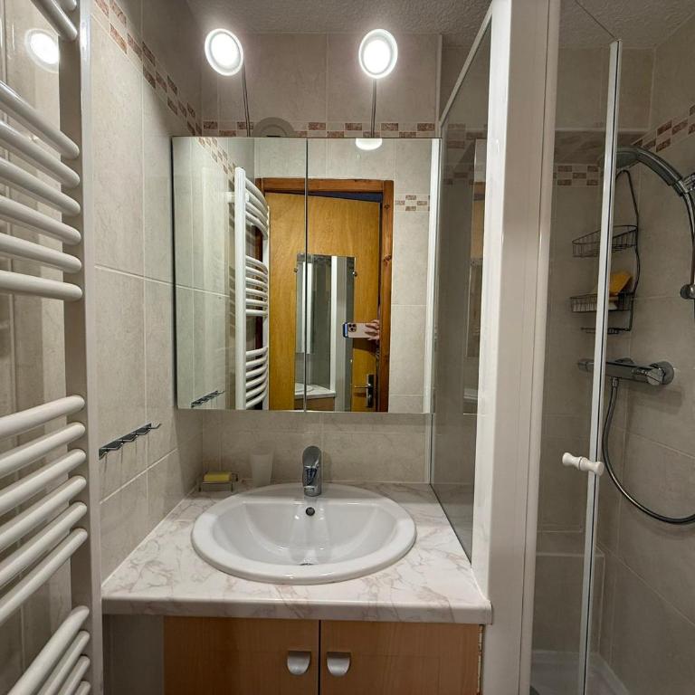 Appartement T2 aux Saisies, balcon, 4 pers max - Appartement 1 Chambre - 7