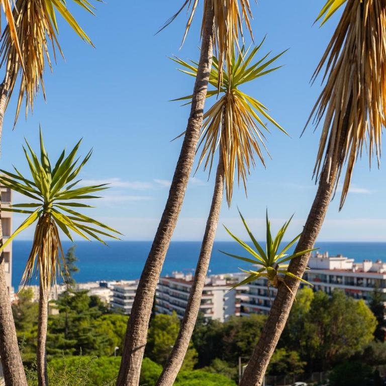 Azzuro - Mare e Terrazza - Appartement 1 Chambre - 25