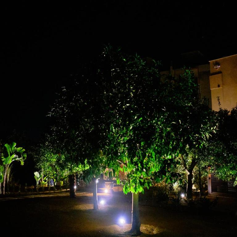 Villa Cavetta - Appartamento con Vista - 2