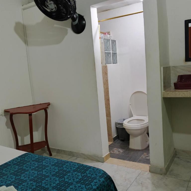 Nuevo Hotel Sandy Chicoral - Single Room - 3