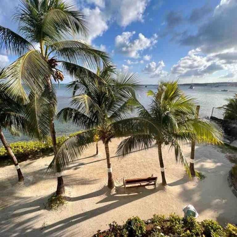 Aptos Sunrise Beach - Apartamento de 1 dormitorio con balcón y vistas al mar - 7