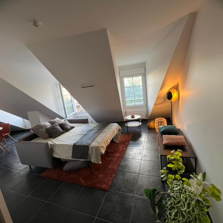 Télétravail pro - Calme, grand espace, plein centre - Apartamento de 1 dormitorio - 15