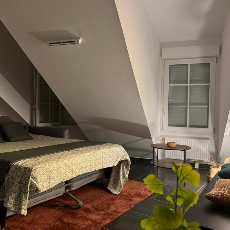 Télétravail pro - Calme, grand espace, plein centre - Apartamento de 1 dormitorio - 16