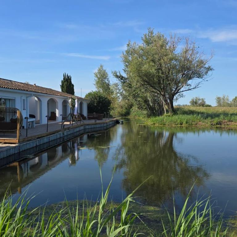 Mas de Dard - Villa - 6