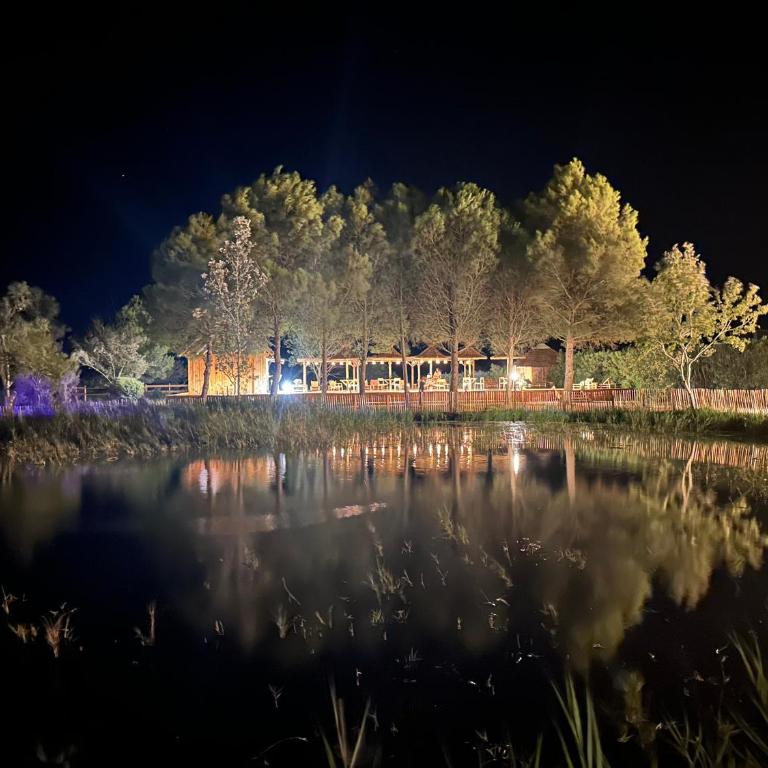 Mas de Dard - Villa - 8
