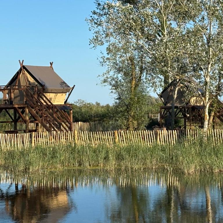 Mas de Dard - Villa - 12