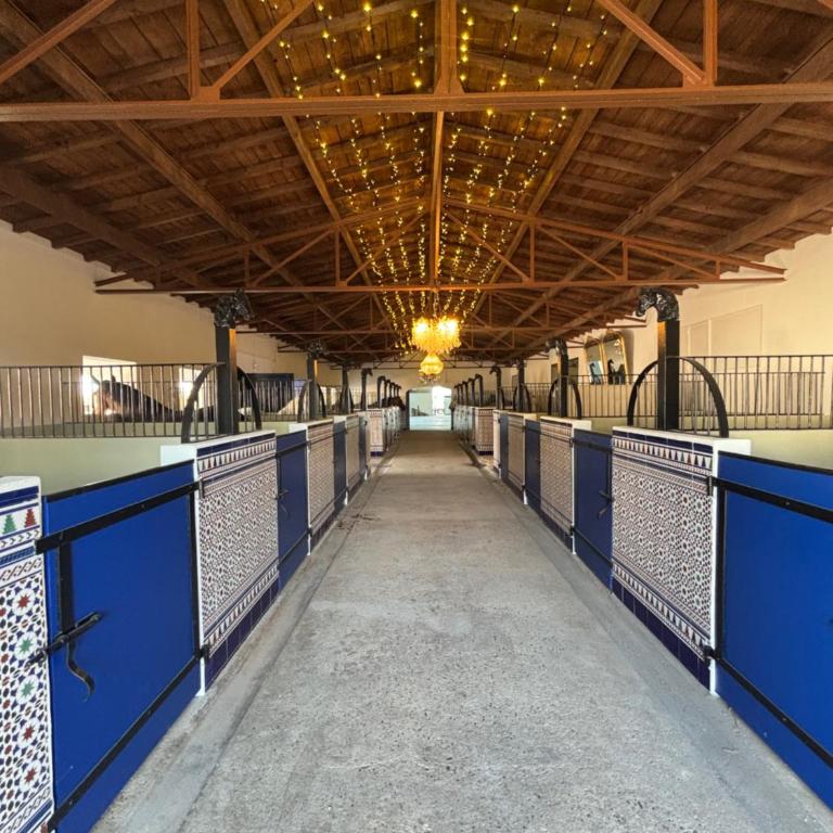 Mas de Dard - Villa - 14