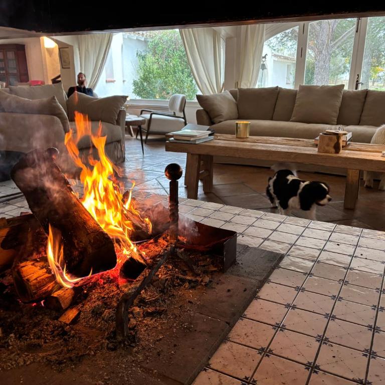 Mas de Dard - Villa - 17