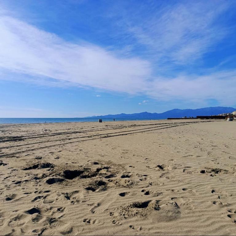 Joli T3 climatisé à 170m de la plage, 6 pers, parking inclus - FR-1-794-167 - Apartamento - 13