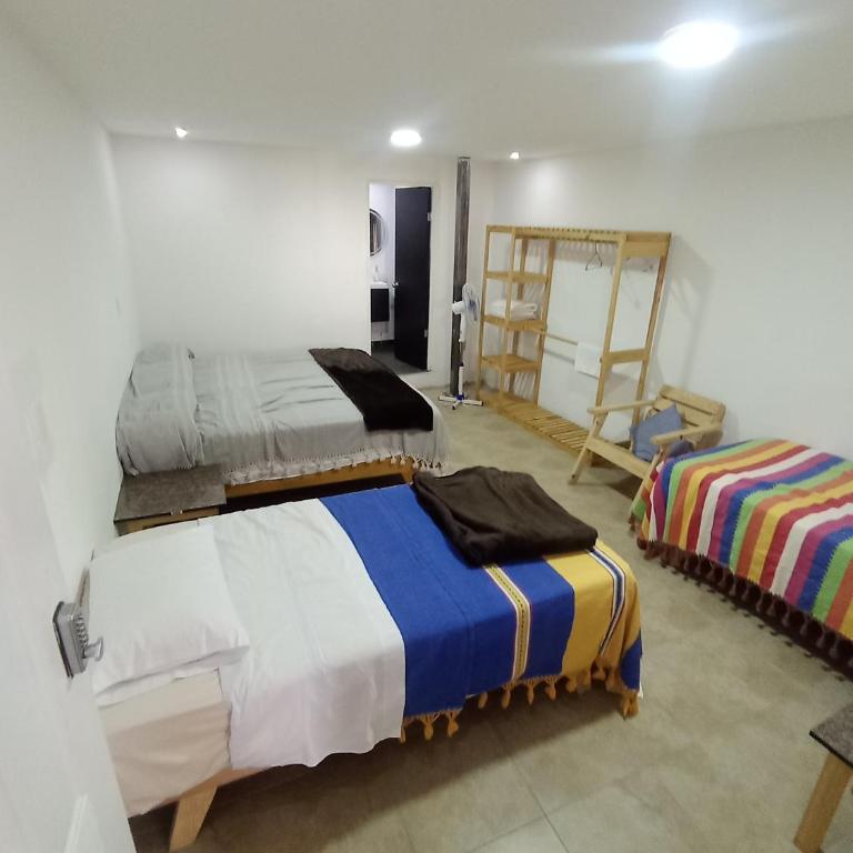 Iguana Coliving - Habitación Triple con vistas - 7