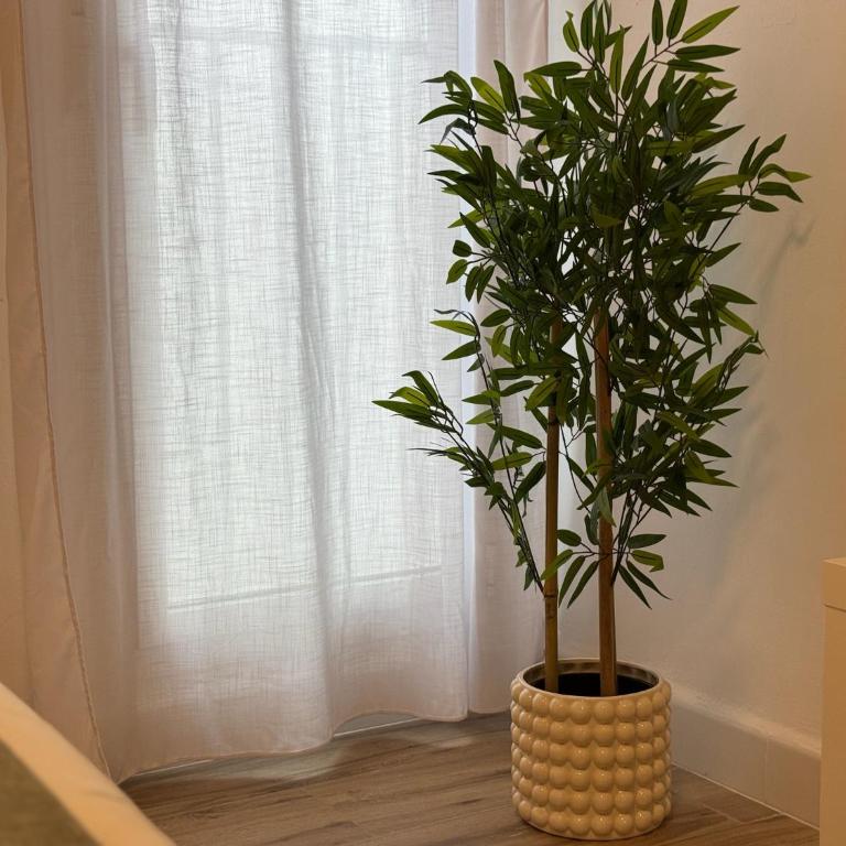 Entre Plazas Stay - Apartamento de 2 dormitorios - 24