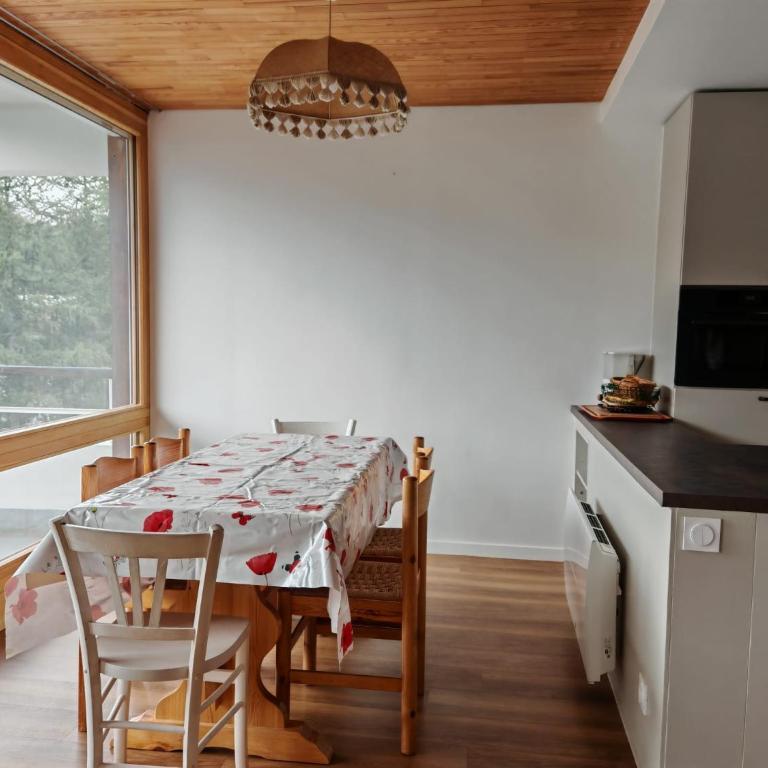 Apt 45 m2 sur les pistes - Apartment mit 2 Schlafzimmern - 3