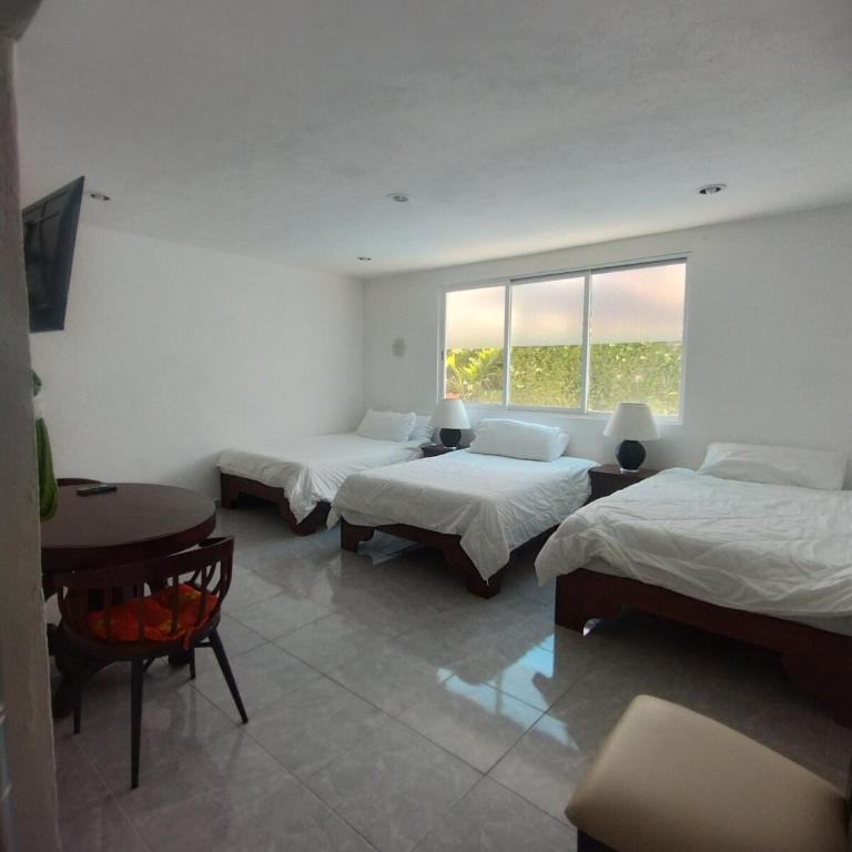 hermosa casa siete camas tres recamaras con piscina - Three-Bedroom Villa - 5