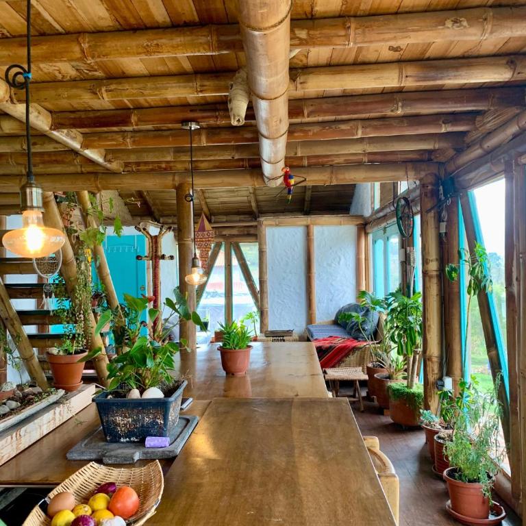 Chalet de Bambú Urku Wasi - Chalet de 3 dormitorios - 7