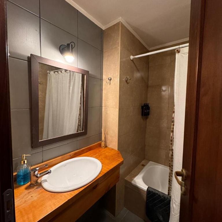 Hermoso departamento con pileta climatizada y parrilla - Apartamento de 1 dormitorio - 6