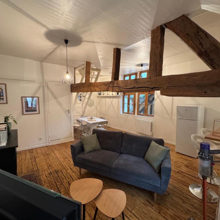 Appartement unique au Cœur historique de Troyes - Apartment mit 1 Schlafzimmer - 4