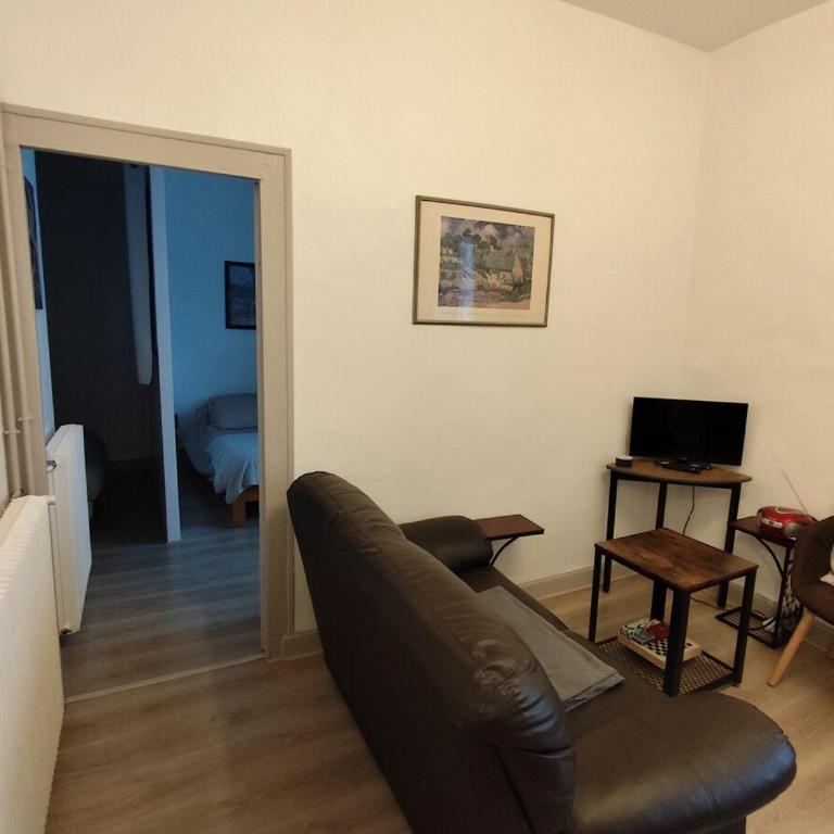Notre Cocon Bigourdan - One-Bedroom Apartment - 10